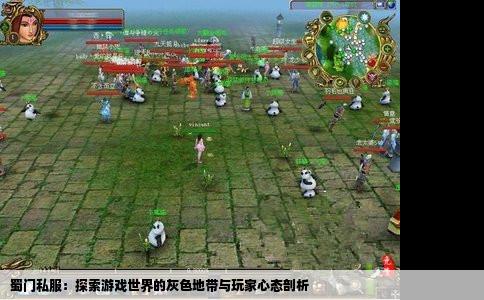 蜀门私服：探索游戏世界的灰色地带与玩家心态剖析