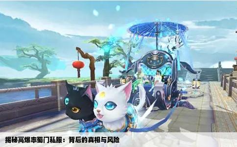 揭秘高爆率蜀门私服：背后的真相与风险