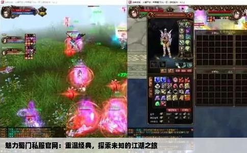 魅力蜀门私服官网：重温经典，探索未知的江湖之旅